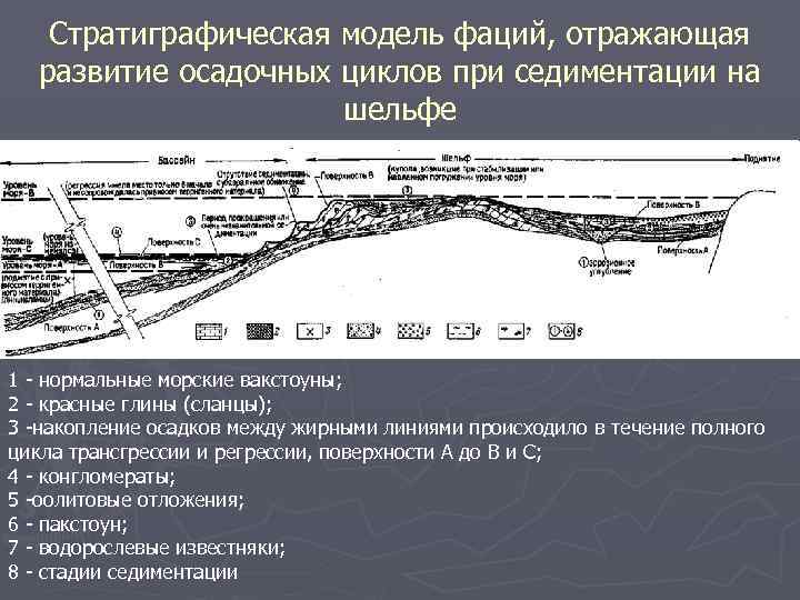 Стратиграфическая модель фаций, отражающая развитие осадочных циклов при седиментации на шельфе 1 - нормальные