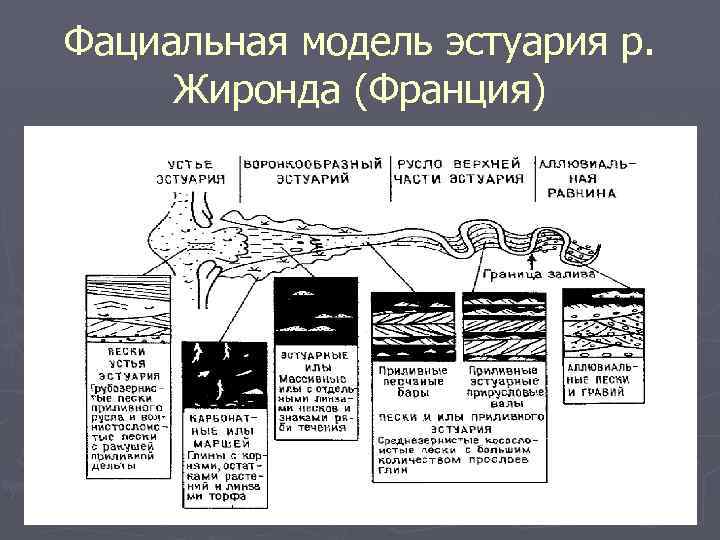 Фациальная модель эстуария р. Жиронда (Франция) 