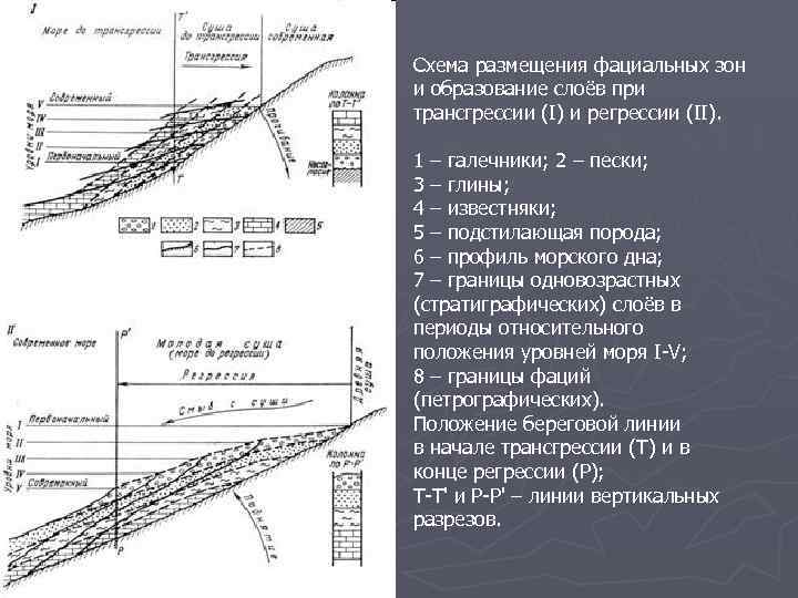 Схема размещения фациальных зон и образование слоёв при трансгрессии (I) и регрессии (II). 1