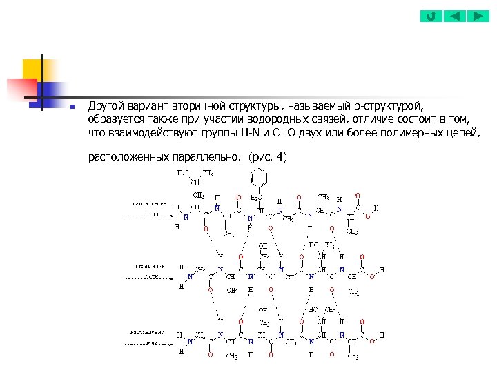 n Другой вариант вторичной структуры, называемый b-структурой, образуется также при участии водородных связей, отличие