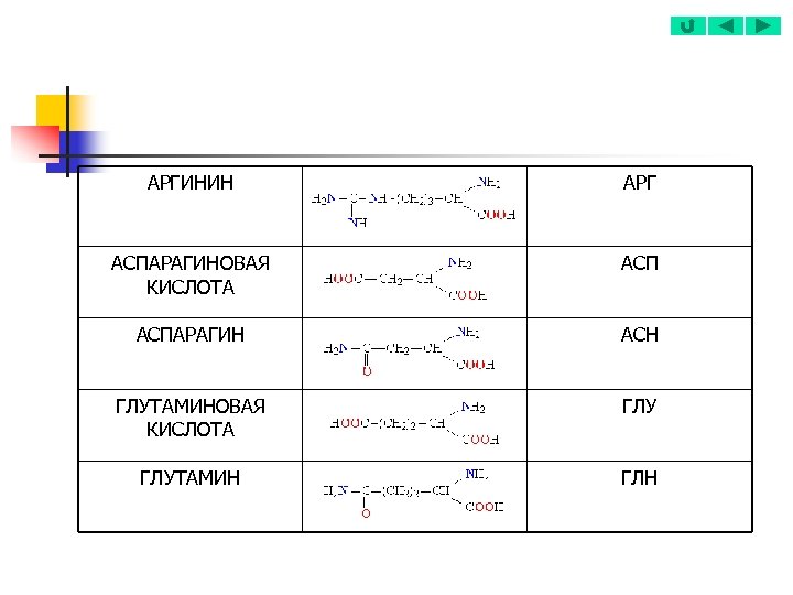АРГИНИН АРГ АСПАРАГИНОВАЯ КИСЛОТА АСПАРАГИН АСН ГЛУТАМИНОВАЯ КИСЛОТА ГЛУТАМИН ГЛН 