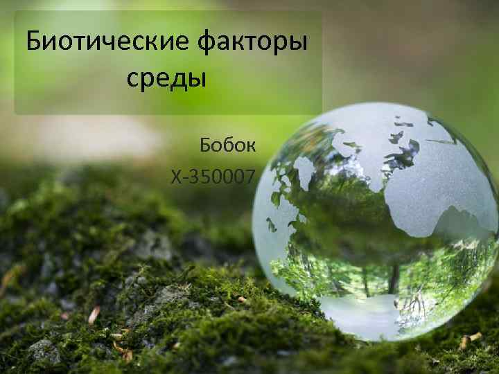 Биотические факторы среды Бобок Х-350007 