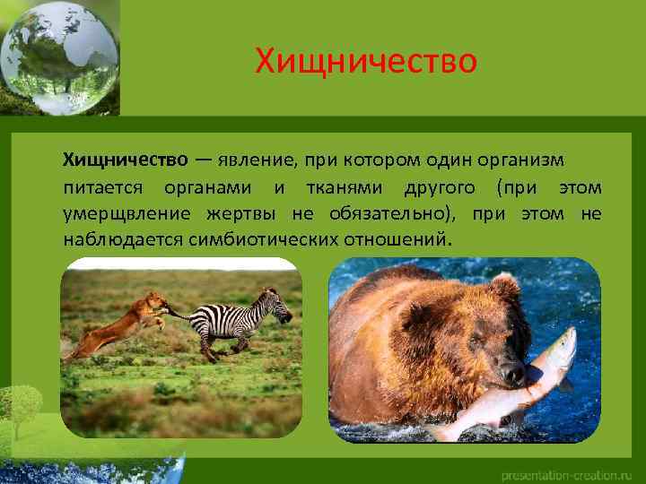 Хищничество — явление, при котором один организм питается органами и тканями другого (при этом