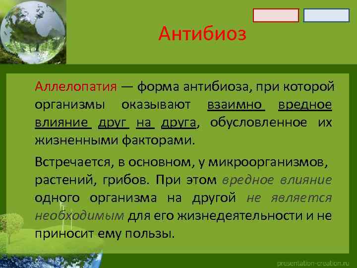 Антибиоз Аллелопатия — форма антибиоза, при которой организмы оказывают взаимно вредное влияние друг на