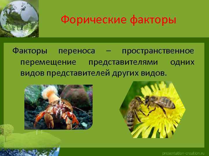 Форические факторы Факторы переноса – пространственное перемещение представителями одних видов представителей других видов. 