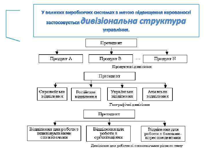 дивізіональна структура 