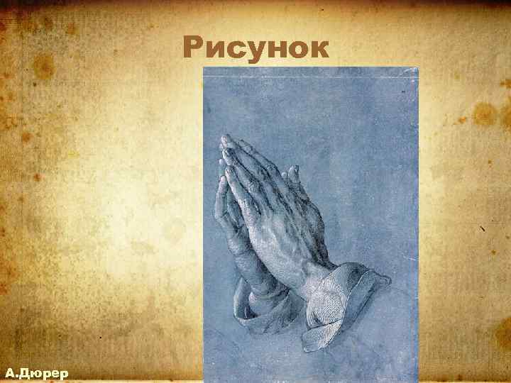 Рисунок А. Дюрер 