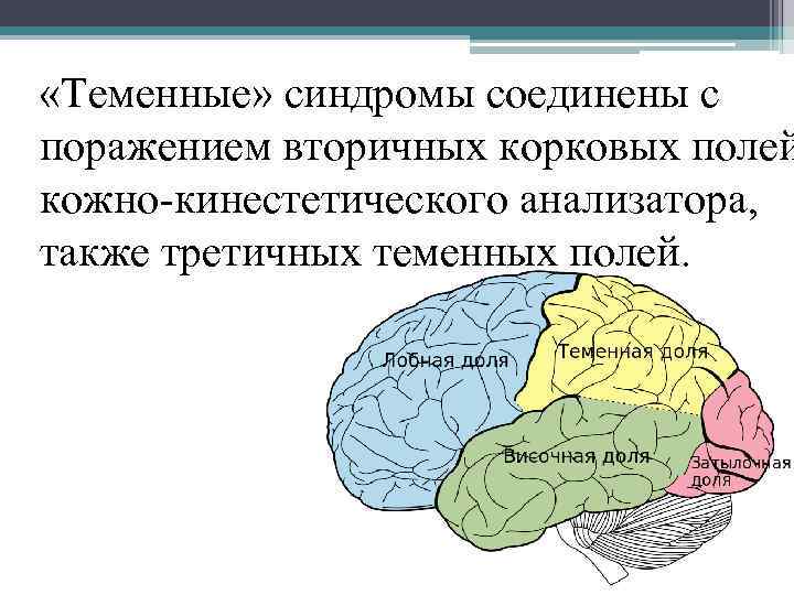 Нейропсихологические синдромы у взрослых клиническая картина