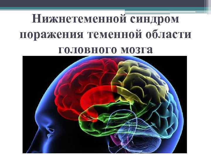 Нейропсихологические синдромы поражения мозга