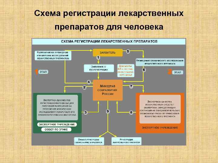 Схема регистрации лекарственных препаратов для человека 