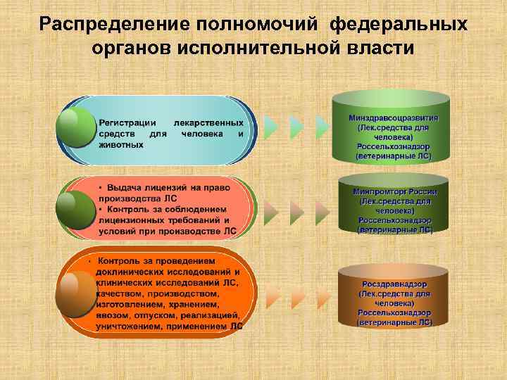 Распределение полномочий федеральных органов исполнительной власти 