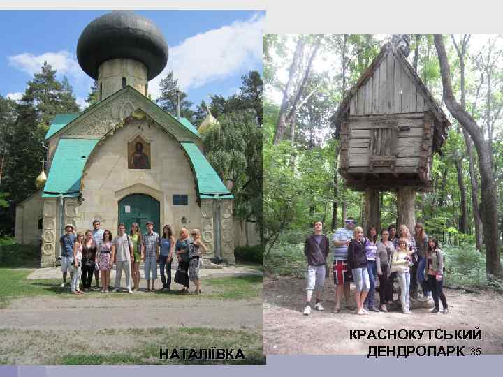 НАТАЛІЇВКА КРАСНОКУТСЬКИЙ ДЕНДРОПАРК 35 