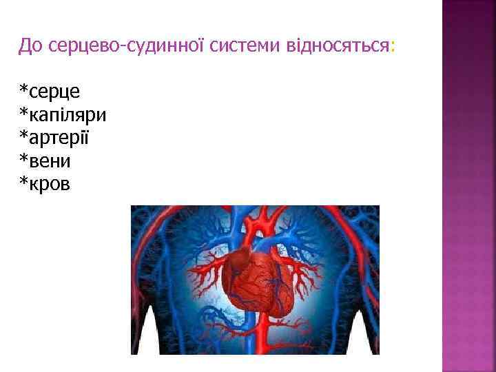До серцево-судинної системи відносяться: *серце *капіляри *артерії *вени *кров 