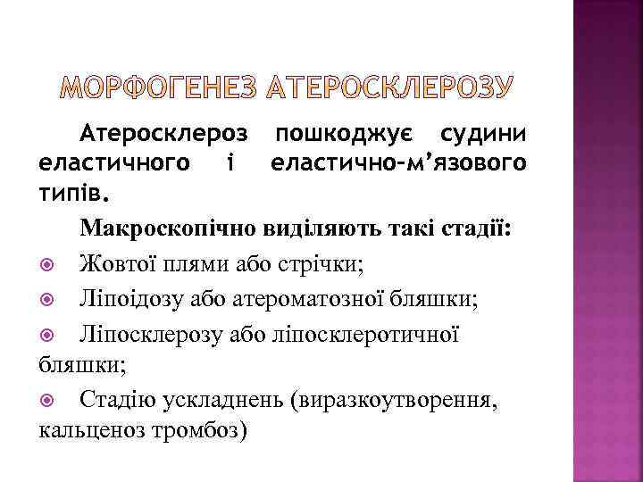 Атеросклероз пошкоджує судини еластичного і еластично-м’язового типів. Макроскопічно виділяють такі стадії: Жовтої плями або