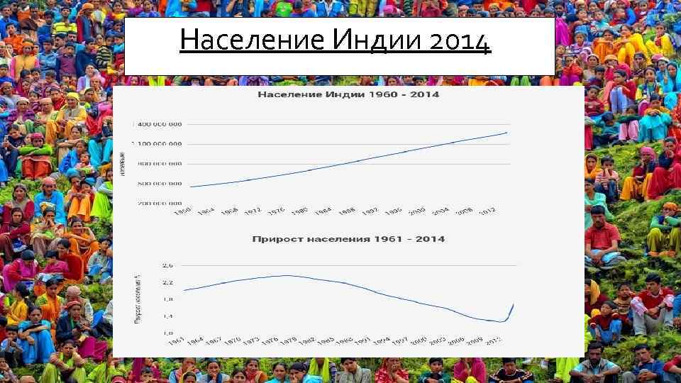 Тип населения индии