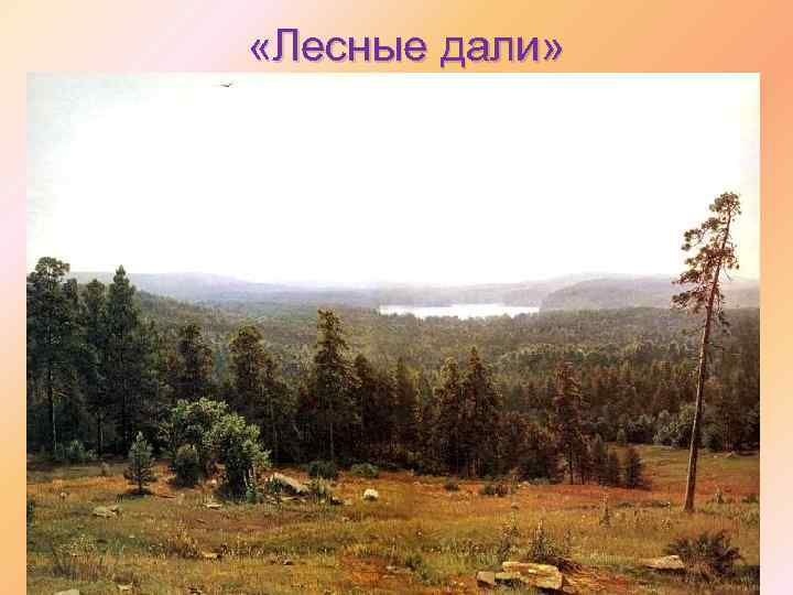  «Лесные дали» 