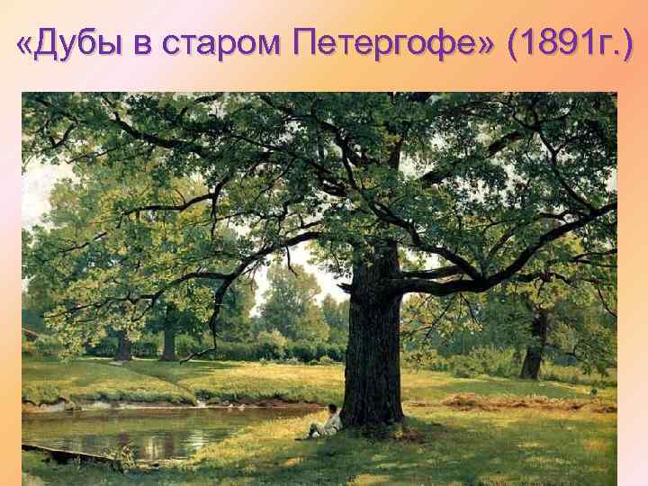  «Дубы в старом Петергофе» (1891 г. ) 