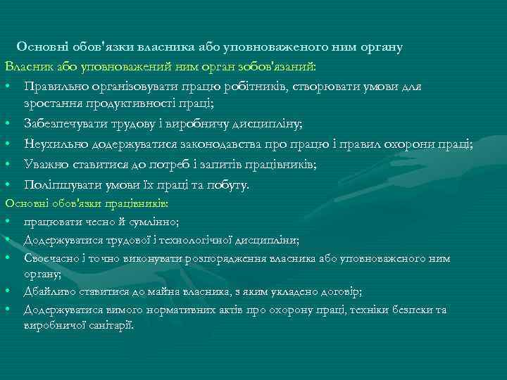 Основні обов'язки власника або уповноваженого ним органу Власник або уповноважений ним орган зобов'язаний: •