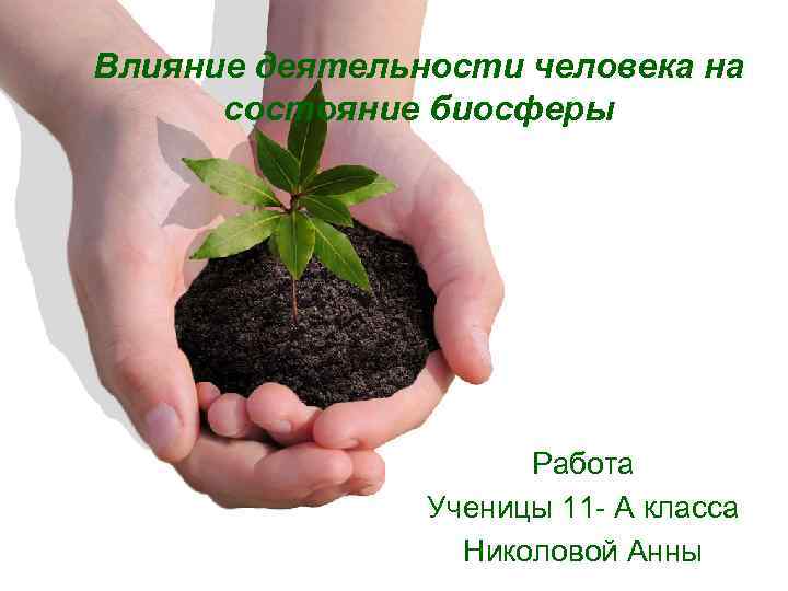Влияние деятельности человека на состояние биосферы Работа Ученицы 11 - А класса Николовой Анны