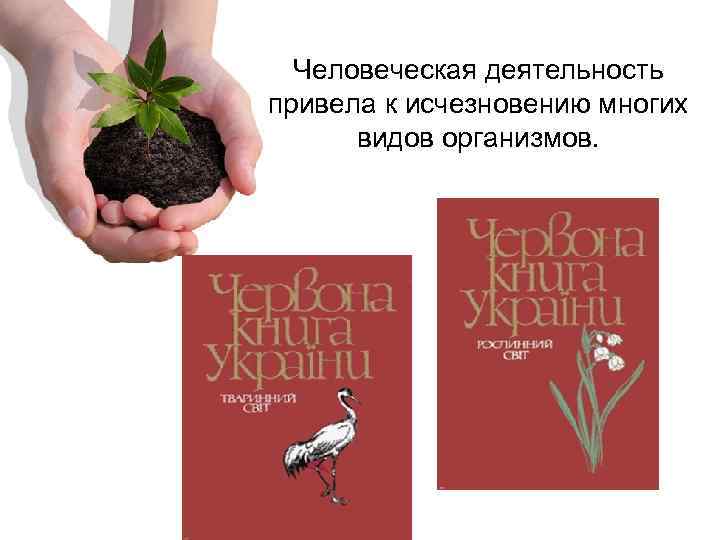 Человеческая деятельность привела к исчезновению многих видов организмов. 