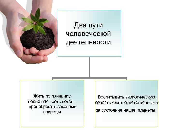 Два пути человеческой деятельности Жить по принципу после нас –хоть потоп – пренебрегать законами
