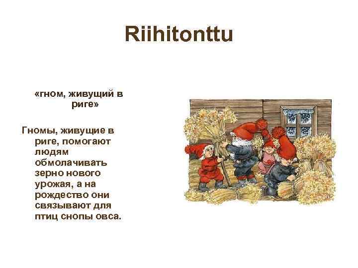 Riihitonttu «гном, живущий в риге» Гномы, живущие в риге, помогают людям обмолачивать зерно нового