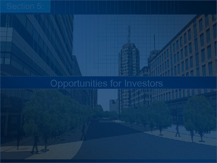 Section 5: Opportunities for Investors 