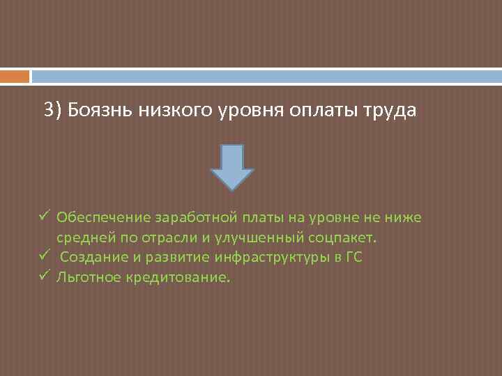 3) Боязнь низкого уровня оплаты труда ü Обеспечение заработной платы на уровне не ниже