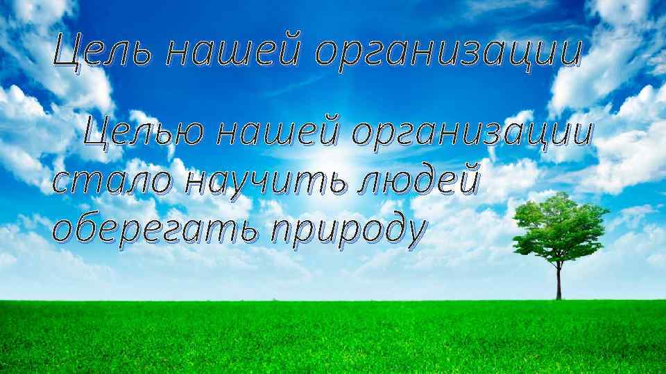 Цель нашей организации Целью нашей организации стало научить людей оберегать природу 