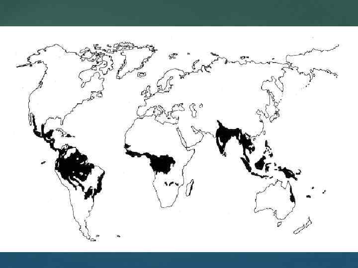 Влажные экваториальные леса карта мира