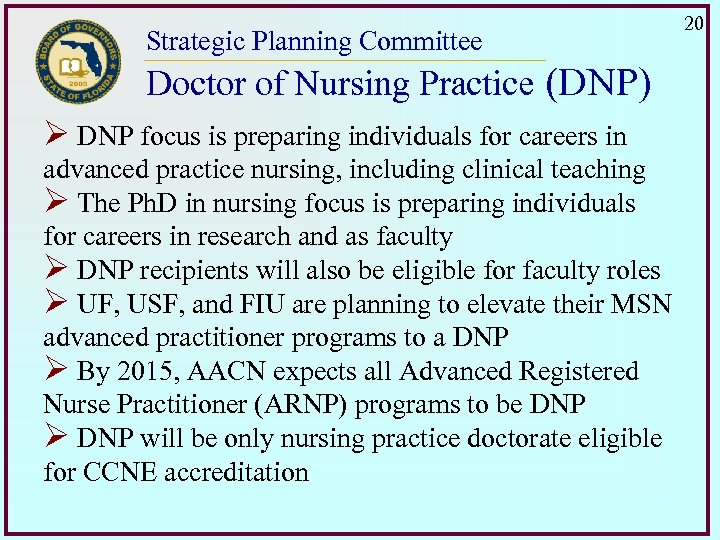 Strategic Planning Committee Doctor of Nursing Practice (DNP) Ø DNP focus is preparing individuals