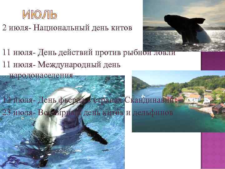 2 июля- Национальный день китов 11 июля- День действий против рыбной ловли 11 июля-