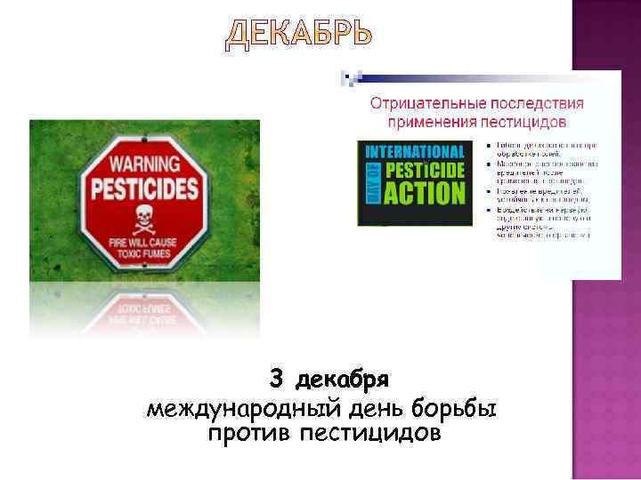 3 декабря международный день борьбы против пестицидов 