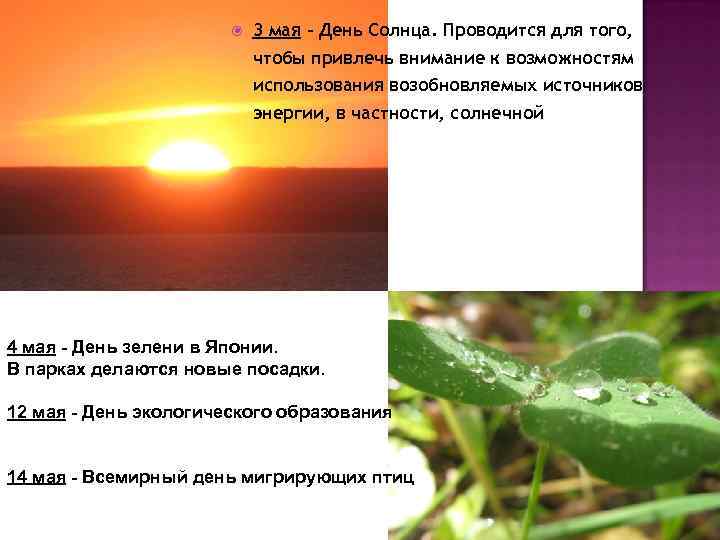  3 мая – День Солнца. Проводится для того, чтобы привлечь внимание к возможностям