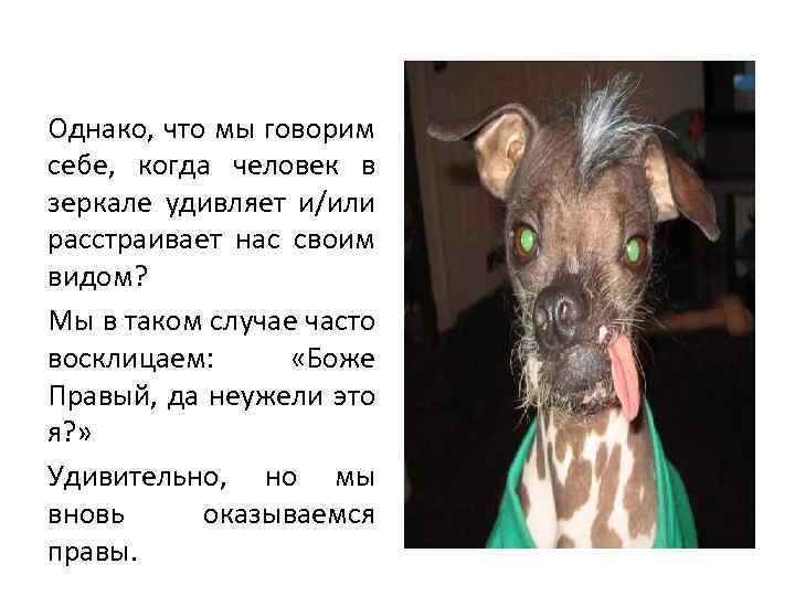 Однако, что мы говорим себе, когда человек в зеркале удивляет и/или расстраивает нас своим