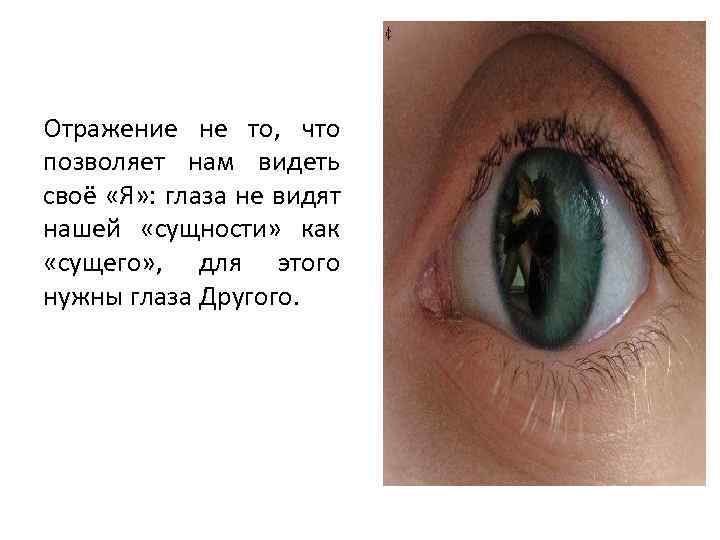 Отражение не то, что позволяет нам видеть своё «Я» : глаза не видят нашей