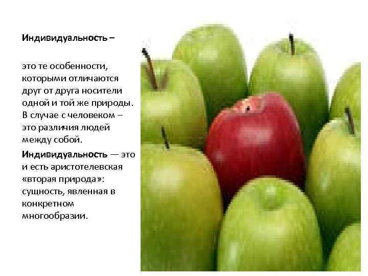 Индивидуальность – это те особенности, которыми отличаются друг от друга носители одной и той