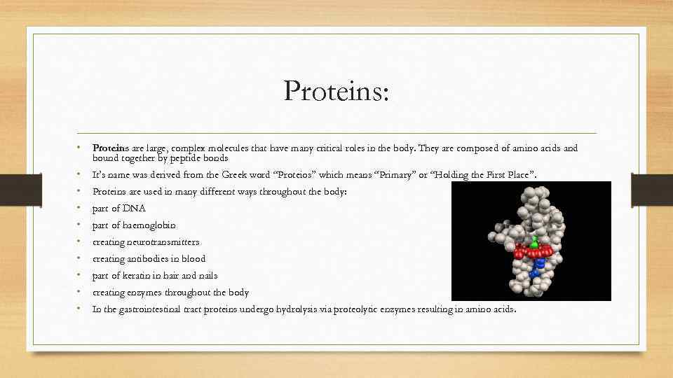 Proteins: • Proteins are large, complex molecules that have many critical roles in the