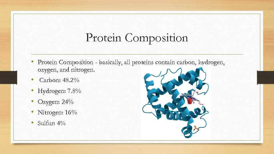 Protein Composition • Protein Composition - basically, all proteins contain carbon, hydrogen, oxygen, and