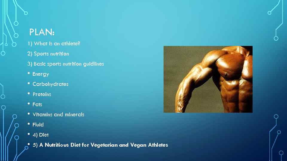 PLAN: 1) What is an athlete? 2) Sports nutrition 3) Basic sports nutrition guidlines