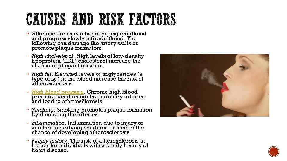 § Atherosclerosis can begin during childhood • • • and progress slowly into adulthood.