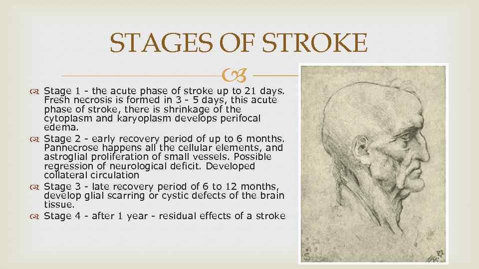 STAGES OF STROKE Stage 1 - the acute phase of stroke up to 21