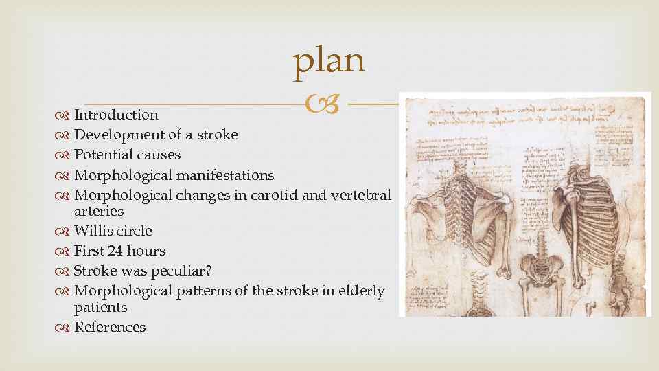 plan Introduction Development of a stroke Potential causes Morphological manifestations Morphological changes in carotid