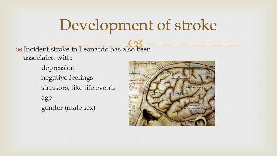 Development of stroke Incident stroke in Leonardo has also been associated with: depression negative