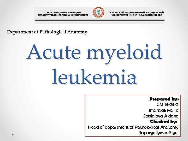 Department of Pathological Anatomy Acute myeloid leukemia Prepared by: GM 14 -24 -2 Imangali