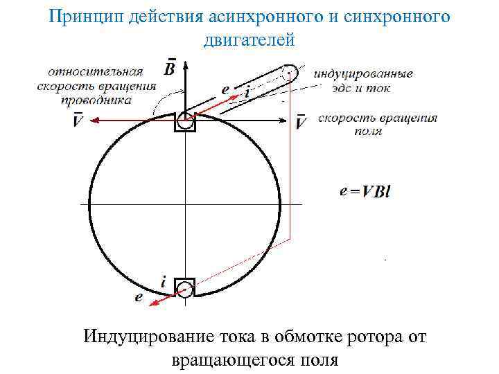 Принцип действия асинхронного и синхронного двигателей Индуцирование тока в обмотке ротора от вращающегося поля