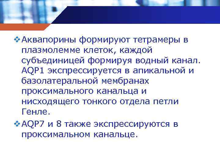 v Аквапорины формируют тетрамеры в плазмолемме клеток, каждой субъединицей формируя водный канал. AQP 1
