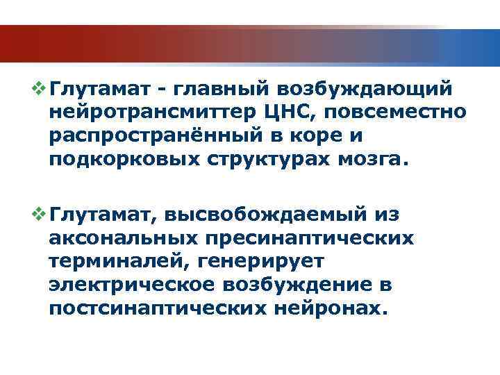 v Глутамат - главный возбуждающий нейротрансмиттер ЦНС, повсеместно распространённый в коре и подкорковых структурах