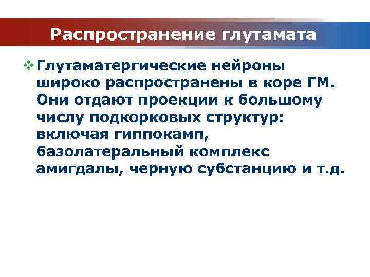 Распространение глутамата v Глутаматергические нейроны широко распространены в коре ГМ. Они отдают проекции к