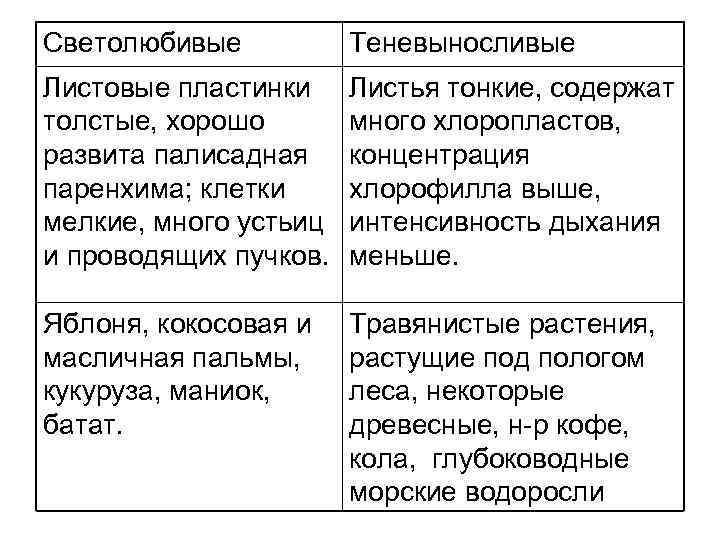 Светолюбивые Теневыносливые Листовые пластинки толстые, хорошо развита палисадная паренхима; клетки мелкие, много устьиц и